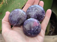 Polished Mixed Selected Multi Mineral Palm Stones x 24 From Madagascar