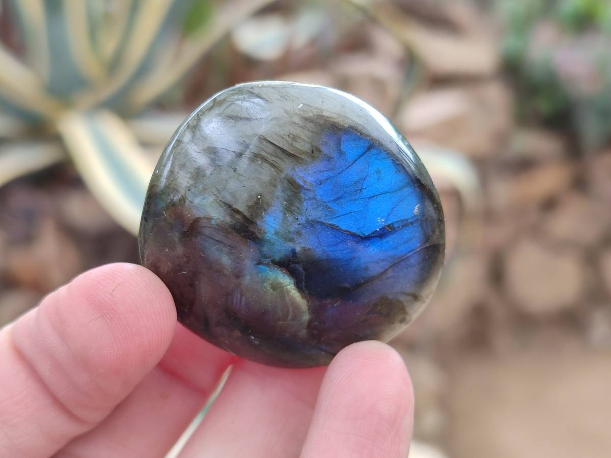 Polished Mixed Selected Multi Mineral Palm Stones x 24 From Madagascar - Toprock Gemstones and Minerals 