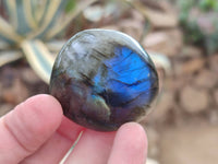 Polished Mixed Selected Multi Mineral Palm Stones x 24 From Madagascar
