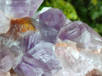Natural Large Jacaranda Amethyst Quartz Cluster x 1 From Mumbwa, Zambia - Toprock Gemstones and Minerals 