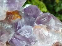 Natural Large Jacaranda Amethyst Quartz Cluster x 1 From Mumbwa, Zambia