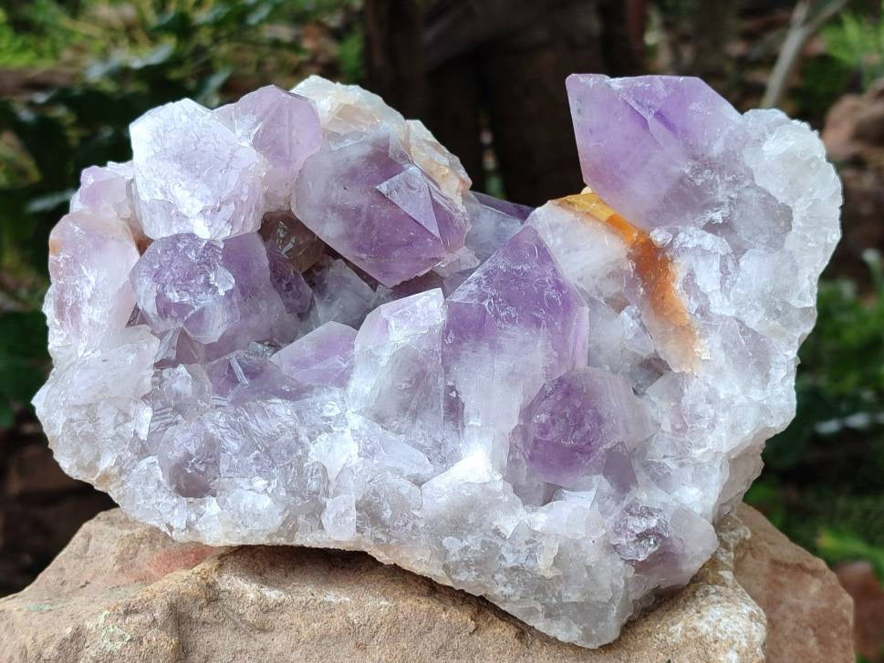 Natural Large Jacaranda Amethyst Quartz Cluster x 1 From Mumbwa, Zambia - Toprock Gemstones and Minerals 