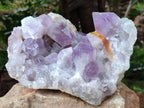 Natural Large Jacaranda Amethyst Quartz Cluster x 1 From Mumbwa, Zambia - Toprock Gemstones and Minerals 