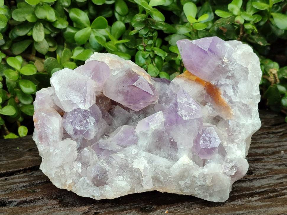 Natural Large Jacaranda Amethyst Quartz Cluster x 1 From Mumbwa, Zambia - Toprock Gemstones and Minerals 