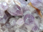 Natural Large Jacaranda Amethyst Quartz Cluster x 1 From Mumbwa, Zambia - Toprock Gemstones and Minerals 