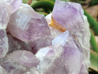 Natural Large Jacaranda Amethyst Quartz Cluster x 1 From Mumbwa, Zambia