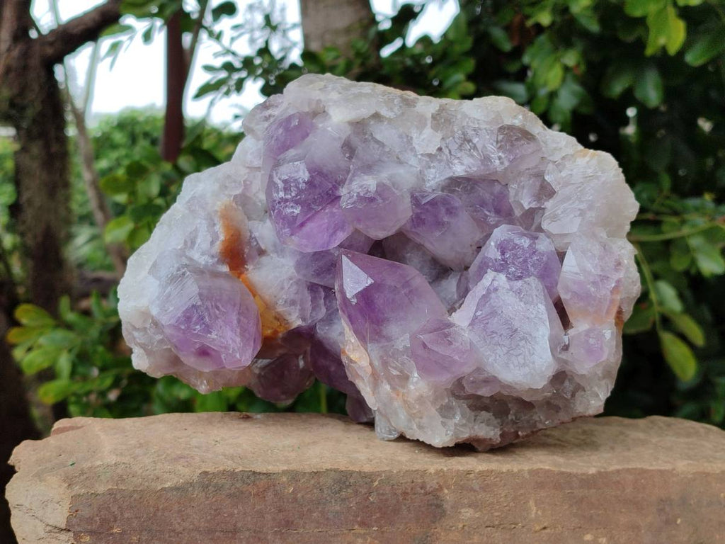 Natural Large Jacaranda Amethyst Quartz Cluster x 1 From Mumbwa, Zambia - Toprock Gemstones and Minerals 