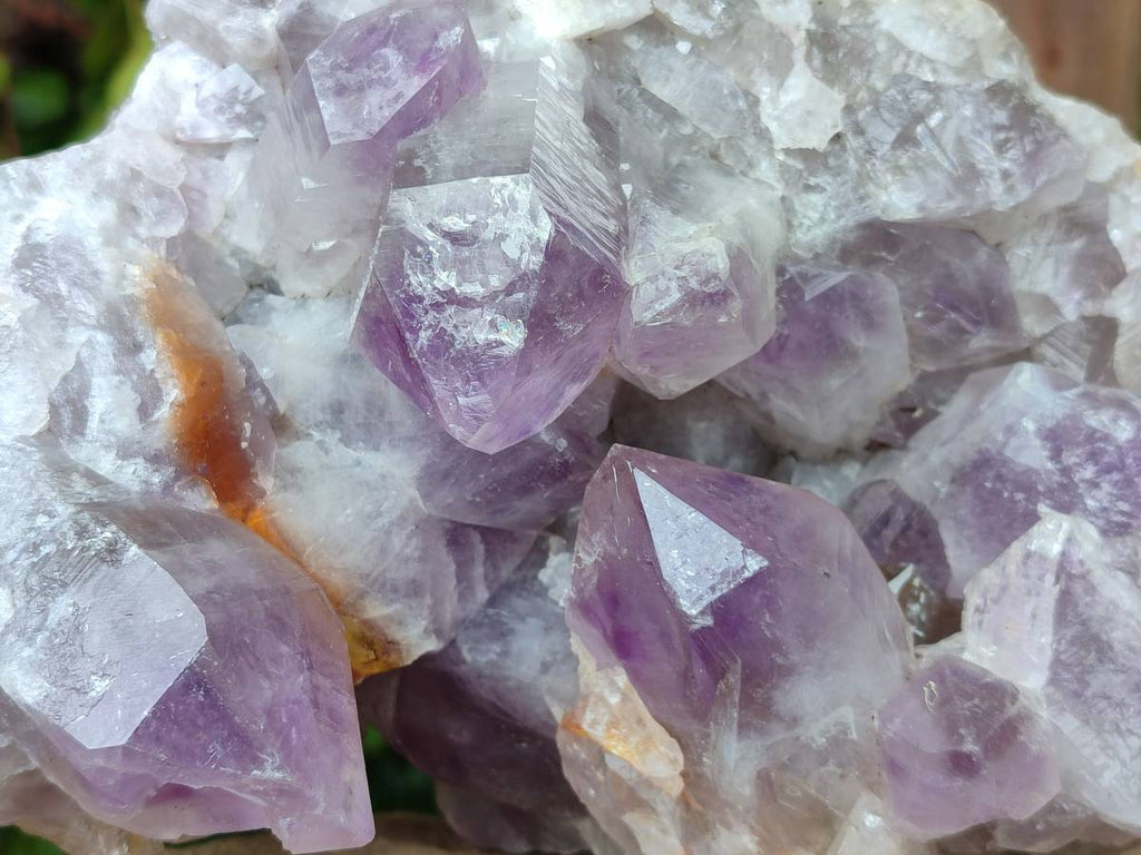 Natural Large Jacaranda Amethyst Quartz Cluster x 1 From Mumbwa, Zambia - Toprock Gemstones and Minerals 