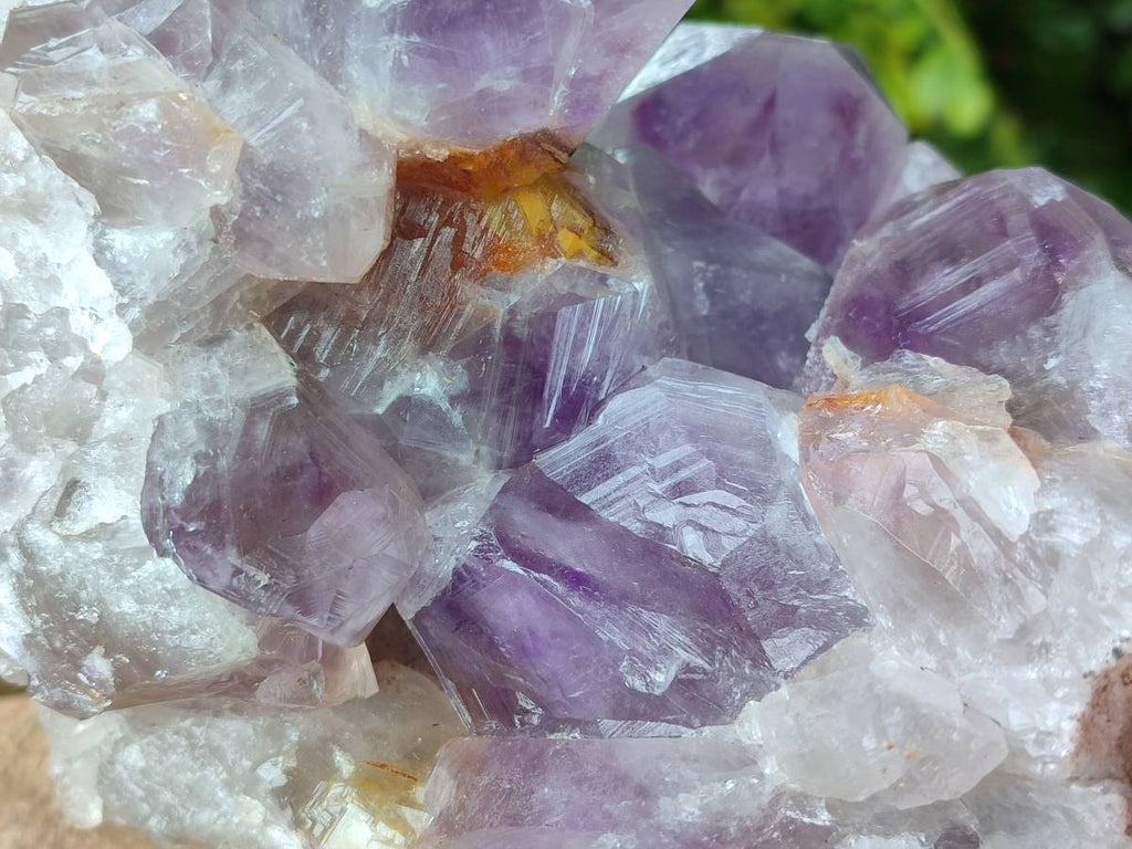 Natural Large Jacaranda Amethyst Quartz Cluster x 1 From Mumbwa, Zambia - Toprock Gemstones and Minerals 
