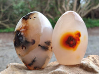 Polished Mixed Agate Standing Free Forms x 6 From Moralambo, Madagascar