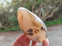 Polished Mixed Agate Standing Free Forms x 6 From Moralambo, Madagascar