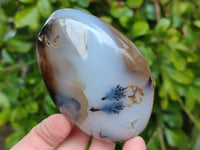 Polished Mixed Agate Standing Free Forms x 6 From Moralambo, Madagascar