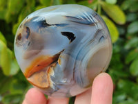 Polished Mixed Agate Standing Free Forms x 6 From Moralambo, Madagascar