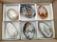 Polished Mixed Agate Standing Free Forms x 6 From Moralambo, Madagascar