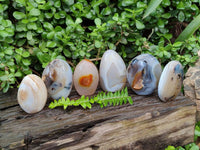 Polished Mixed Agate Standing Free Forms x 6 From Moralambo, Madagascar