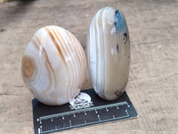 Polished Mixed Agate Standing Free Forms x 6 From Moralambo, Madagascar