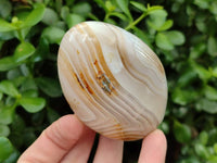 Polished Mixed Agate Standing Free Forms x 6 From Moralambo, Madagascar