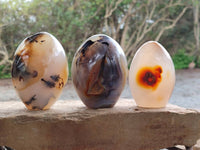 Polished Mixed Agate Standing Free Forms x 6 From Moralambo, Madagascar