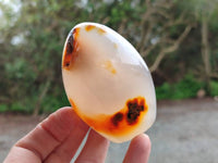 Polished Mixed Agate Standing Free Forms x 6 From Moralambo, Madagascar
