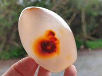 Polished Mixed Agate Standing Free Forms x 6 From Moralambo, Madagascar