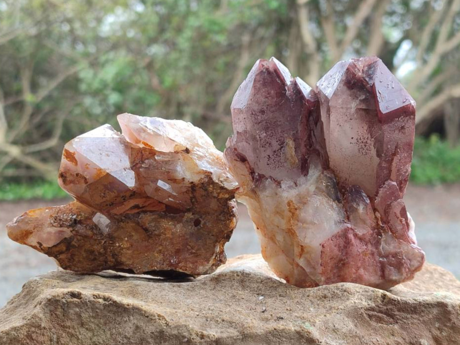 Natural Red Hematoid Quartz Crystal Clusters x 6 From Karoi, Zimbabwe - Toprock Gemstones and Minerals 