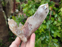 Natural Red Hematoid Quartz Crystal Clusters x 6 From Karoi, Zimbabwe