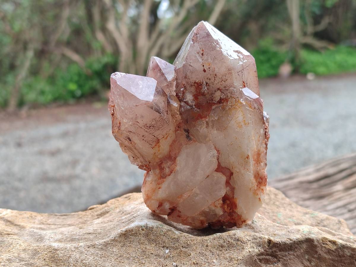 Natural Red Hematoid Quartz Crystal Clusters x 6 From Karoi, Zimbabwe - Toprock Gemstones and Minerals 