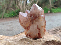 Natural Red Hematoid Quartz Crystal Clusters x 6 From Karoi, Zimbabwe