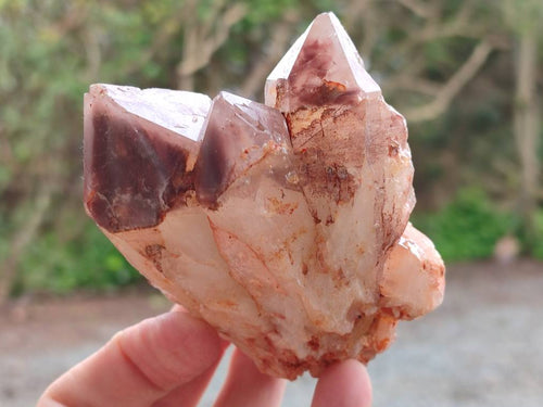 Natural Red Hematoid Quartz Crystal Clusters x 6 From Karoi, Zimbabwe - Toprock Gemstones and Minerals 