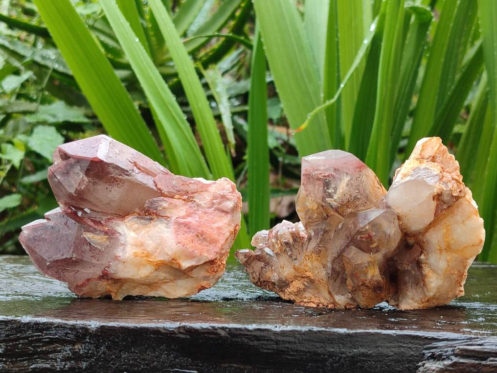 Natural Red Hematoid Quartz Crystal Clusters x 6 From Karoi, Zimbabwe - Toprock Gemstones and Minerals 
