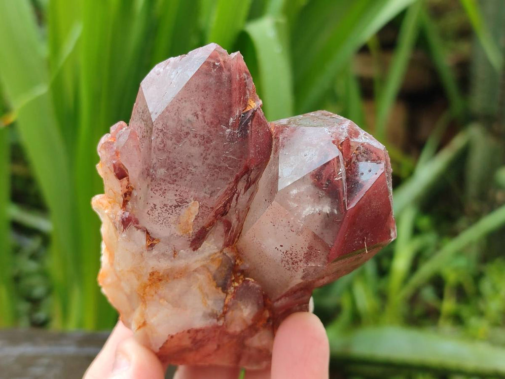 Natural Red Hematoid Quartz Crystal Clusters x 6 From Karoi, Zimbabwe - Toprock Gemstones and Minerals 