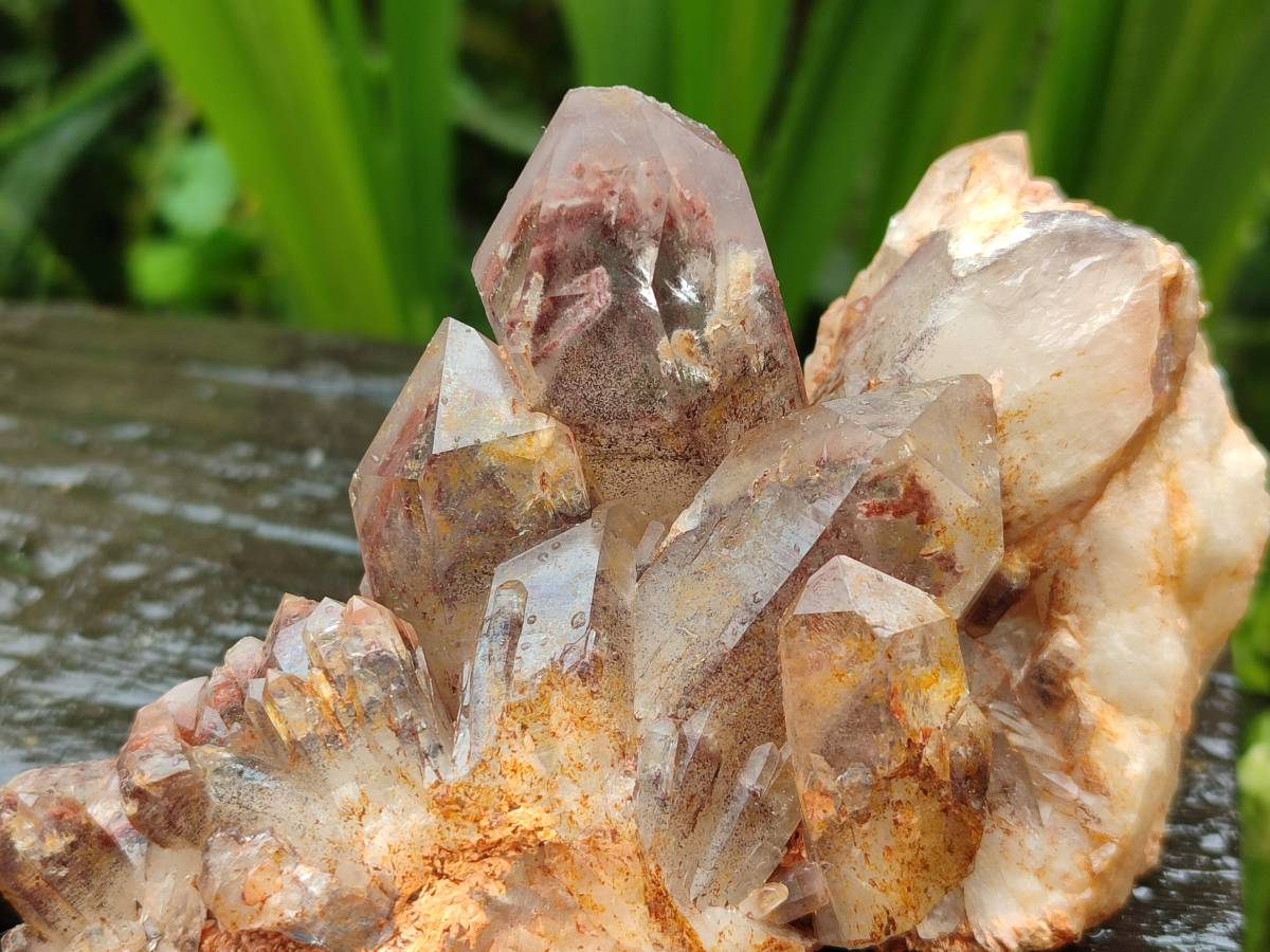 Natural Red Hematoid Quartz Crystal Clusters x 6 From Karoi, Zimbabwe - Toprock Gemstones and Minerals 