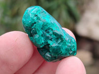 Polished Dioptase Free Forms x 35 From Likasi, Congo