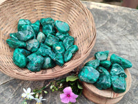 Polished Dioptase Free Forms x 35 From Likasi, Congo