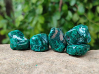 Polished Dioptase Free Forms x 35 From Likasi, Congo