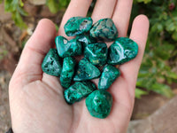 Polished Dioptase Free Forms x 35 From Likasi, Congo