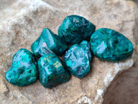 Polished Dioptase Free Forms x 35 From Likasi, Congo