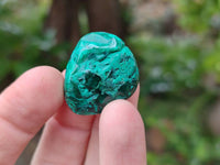 Polished Dioptase Free Forms x 35 From Likasi, Congo