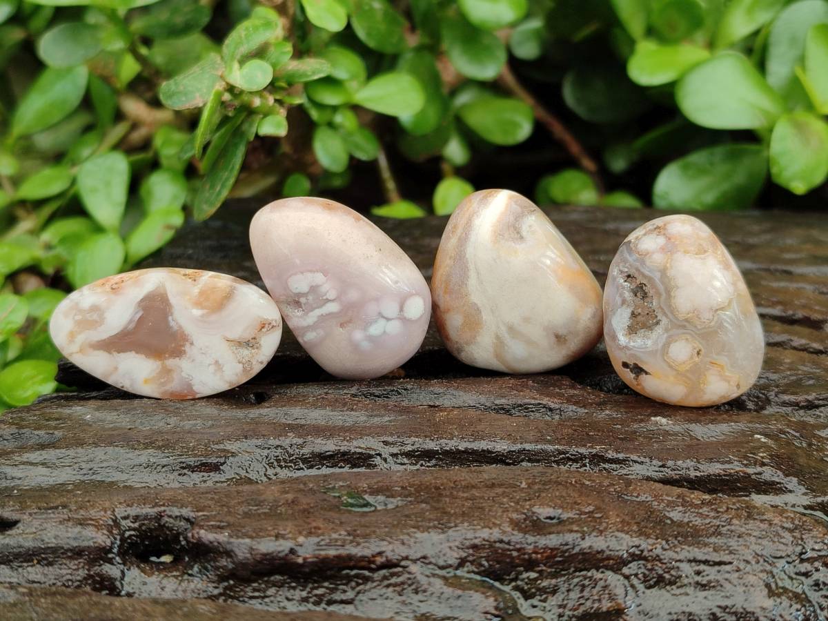 Polished Flower Agate Free Forms x 70 From Antsahalova, Madagascar - Toprock Gemstones and Minerals 