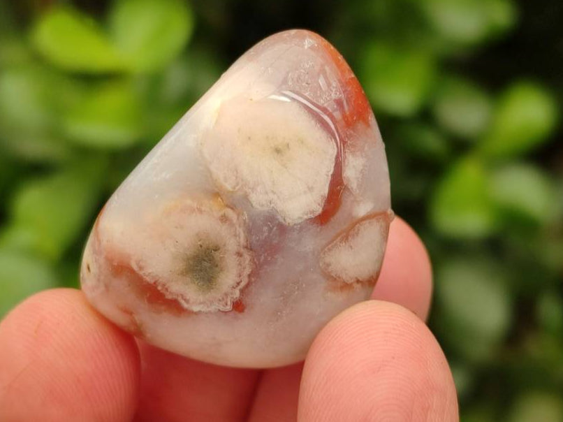 Polished Flower Agate Free Forms x 70 From Antsahalova, Madagascar - Toprock Gemstones and Minerals 