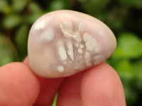 Polished Flower Agate Free Forms x 70 From Antsahalova, Madagascar