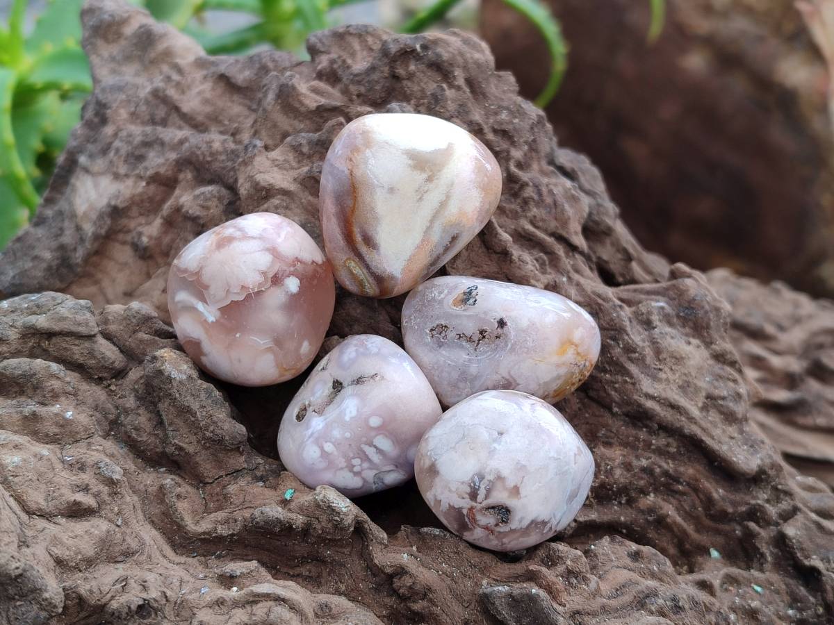 Polished Flower Agate Free Forms x 70 From Antsahalova, Madagascar - Toprock Gemstones and Minerals 