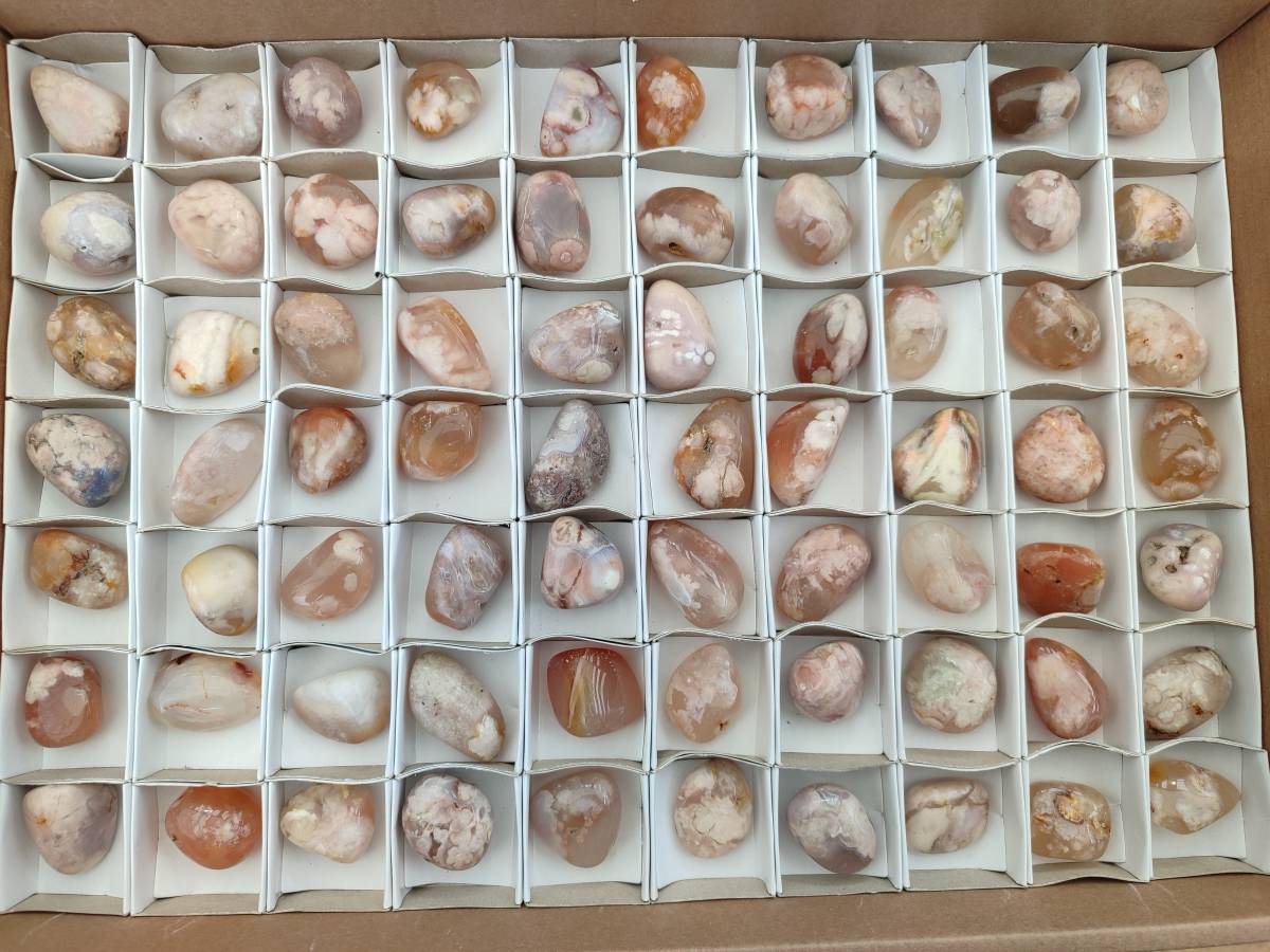 Polished Flower Agate Free Forms x 70 From Antsahalova, Madagascar - Toprock Gemstones and Minerals 