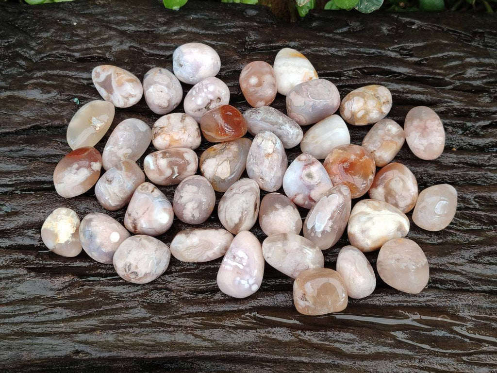 Polished Flower Agate Free Forms x 70 From Antsahalova, Madagascar - Toprock Gemstones and Minerals 