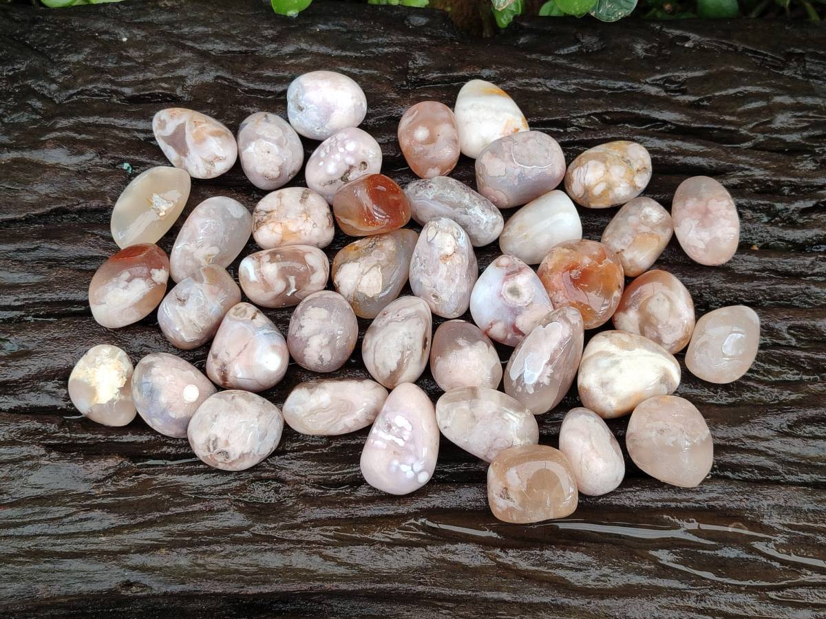 Polished Flower Agate Free Forms x 70 From Antsahalova, Madagascar - Toprock Gemstones and Minerals 