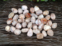 Polished Flower Agate Free Forms x 70 From Antsahalova, Madagascar