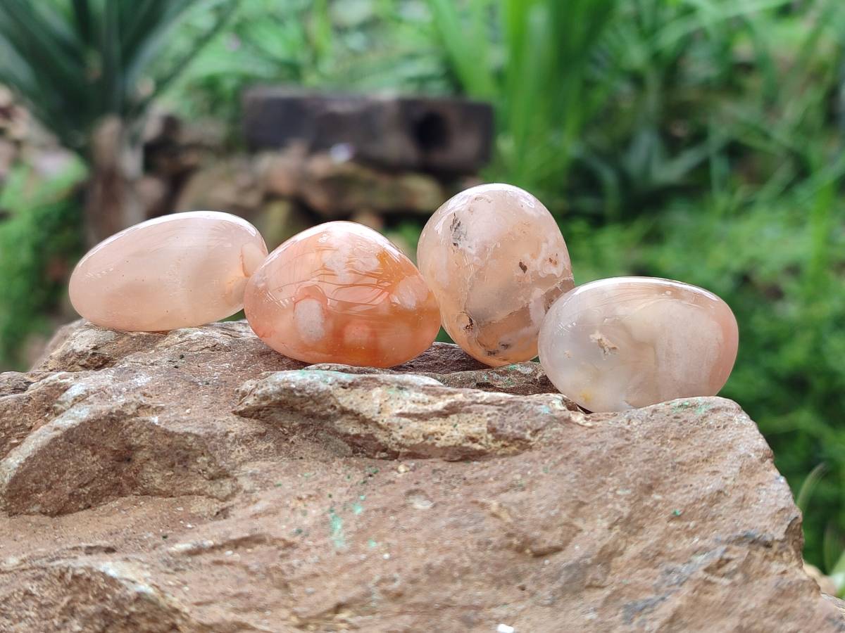 Polished Flower Agate Free Forms x 70 From Antsahalova, Madagascar - Toprock Gemstones and Minerals 