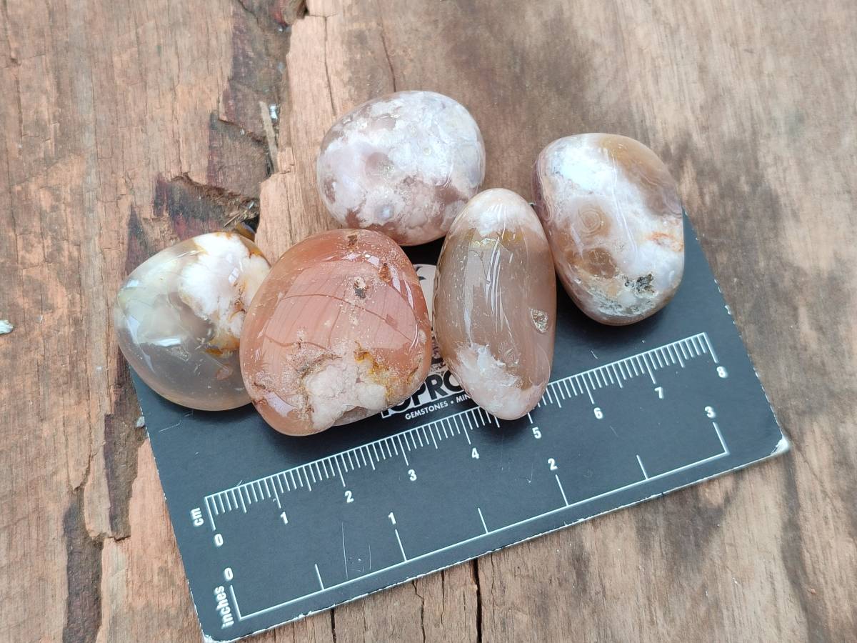 Polished Flower Agate Free Forms x 70 From Antsahalova, Madagascar - Toprock Gemstones and Minerals 