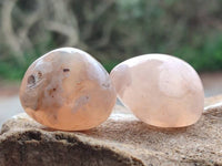 Polished Flower Agate Free Forms x 70 From Antsahalova, Madagascar