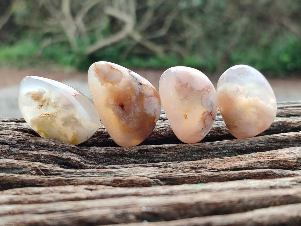 Polished Flower Agate Free Forms x 70 From Antsahalova, Madagascar - Toprock Gemstones and Minerals 